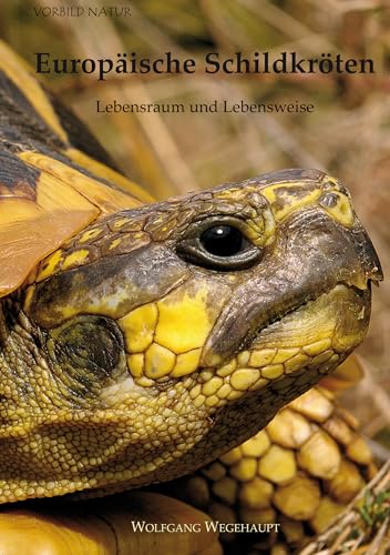 Europäische Schildkröten: Lebensraum und Lebensweise