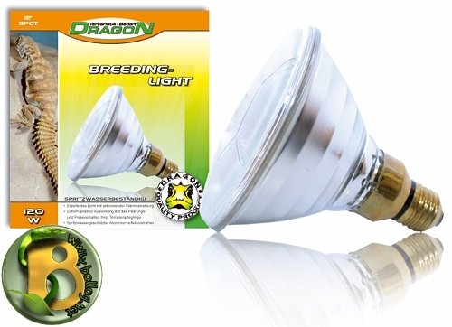 Dragon - Halogen Hochvolt Flood E27-120 Watt Breeding Light PAR38