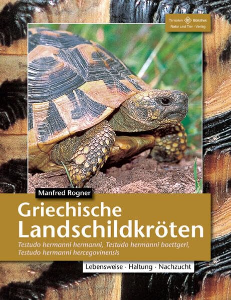 Griechische Landschildkröten: Testudo hermanni hermanni, Testudo hermanni boettgeri, Testudo hermanni hercegovinensis: (Testudo hemanni hermanni, T. ... Haltung und Vermehrung (Terrarien-Bibliothek)