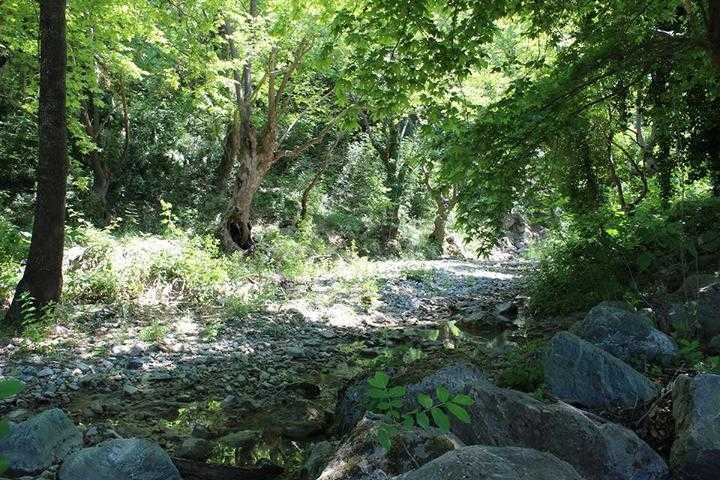 Schildkrötenhabitat für Landschildkröten