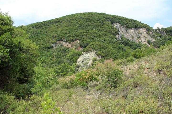 Schildkrötenhabitat für Landschildkröten