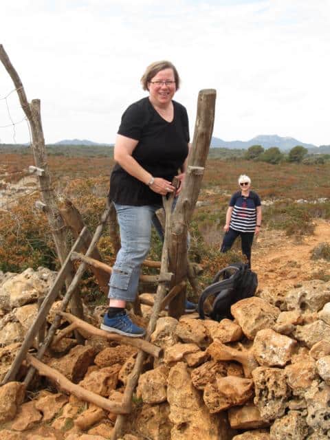 Auch die eine oder andere Mauer musste überwunden werden-Landschildkröten auf Mallorca-Teil 2