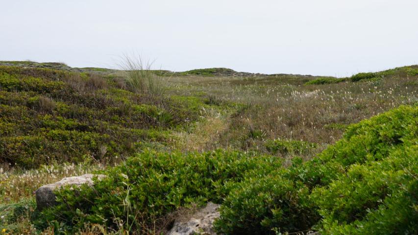 Sardinien - Nordwesten