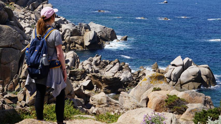 Schildkröten auf Sardinien - -Nordküste 