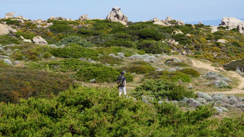 Sardinien - -Nordküste