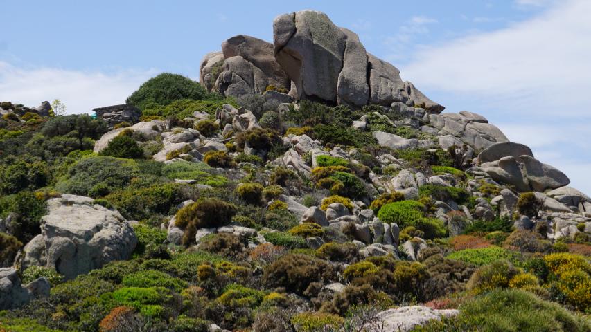 Sardinien - -Nordküste